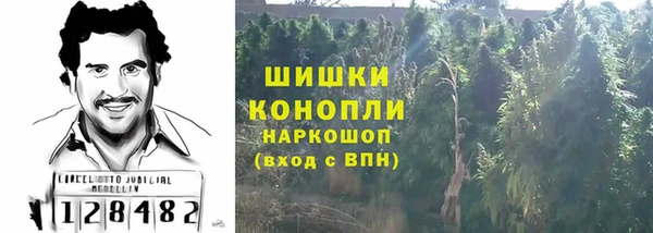 ПСИЛОЦИБИНОВЫЕ ГРИБЫ Волосово