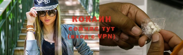 apvp Вяземский
