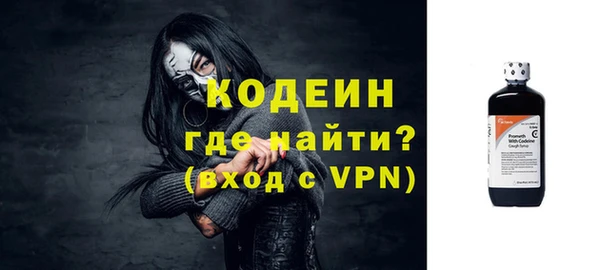 apvp Вяземский