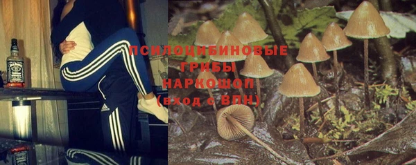 ПСИЛОЦИБИНОВЫЕ ГРИБЫ Волосово