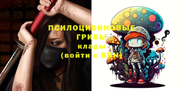 ПСИЛОЦИБИНОВЫЕ ГРИБЫ Волосово